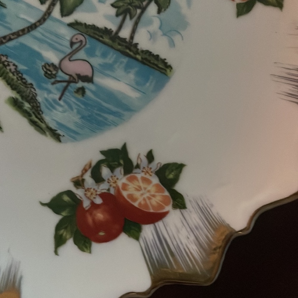 Vintage Florida souvenir plate. Gold trim, convenient hanging string. - Picture 3 of 4